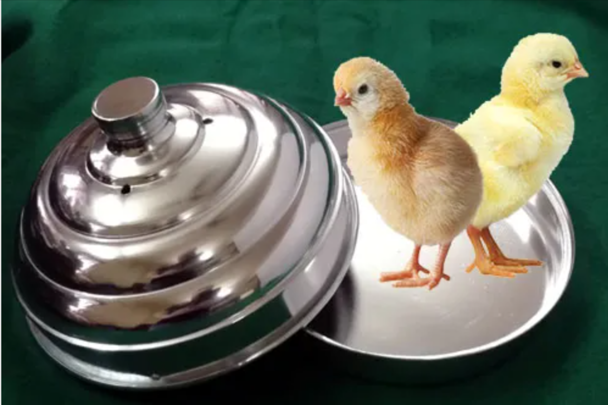 Classic Chick Pan - Aluminum (FT)