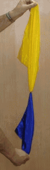 Double Color Changing Silks 14 inch (FT)