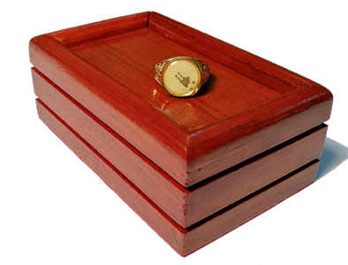 Rattle Ring Box - Large (FT)